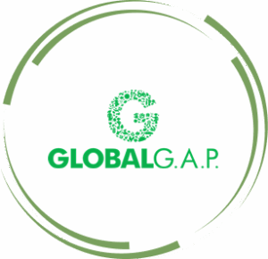Certificato GLOABLG.A.P.